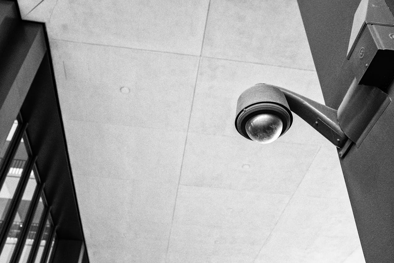 pexels photo 20783671.jpeg